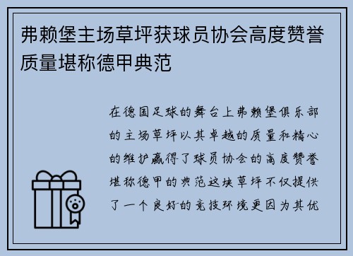 弗赖堡主场草坪获球员协会高度赞誉质量堪称德甲典范